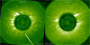 COR1 images