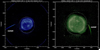 COR1 images